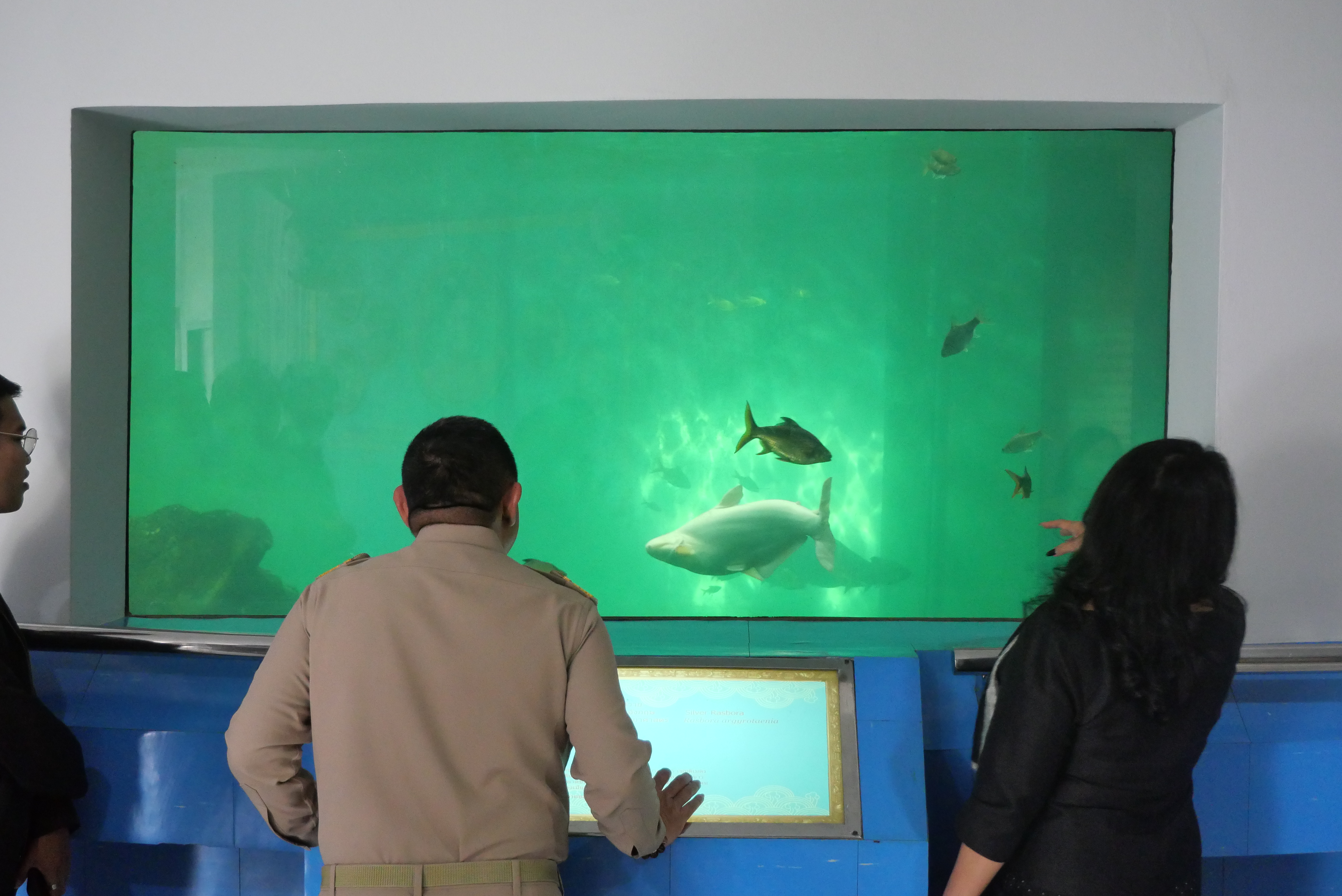 title - เลขาธิการ ส.ป.ก. บันทึกเทปให้สัมภาษณ์ภาพยนตร์สารคดีชุด “สืบสาน สร้างสุข ปวงประชา” และตรวจติดตามการดำเนินงานในพื้นที่เขตปฏิรูปที่ดิน ณ จังหวัดพระนครศรีอยุธยา